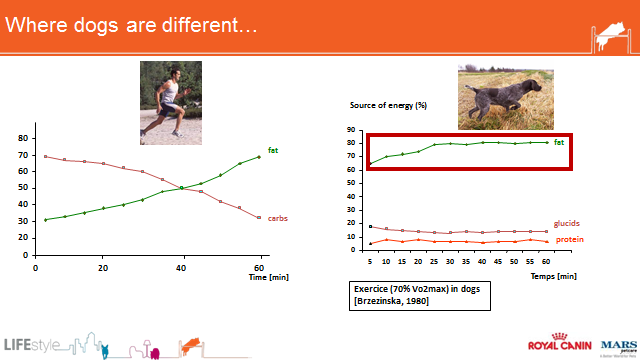 postEBCsportingdogs1