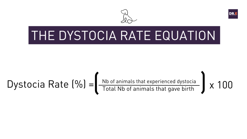 So you see, given the gravity of this issue, I believe it's imperative to monitor the dystocia rate in any cattery or kennel.