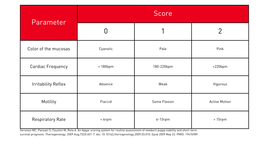 Here's the APGAR scoring table for both puppies and kittens