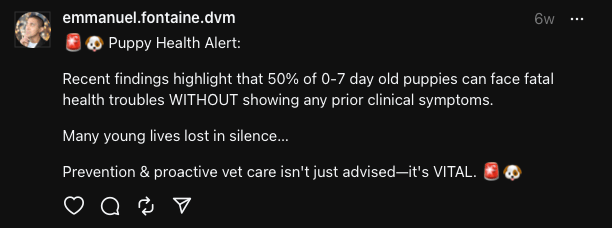 A post on Threads by Dr Emmanuel Fontaine, explaining that newborn puppies can crash quickly sometimes without exhibiting any clinical symptoms!