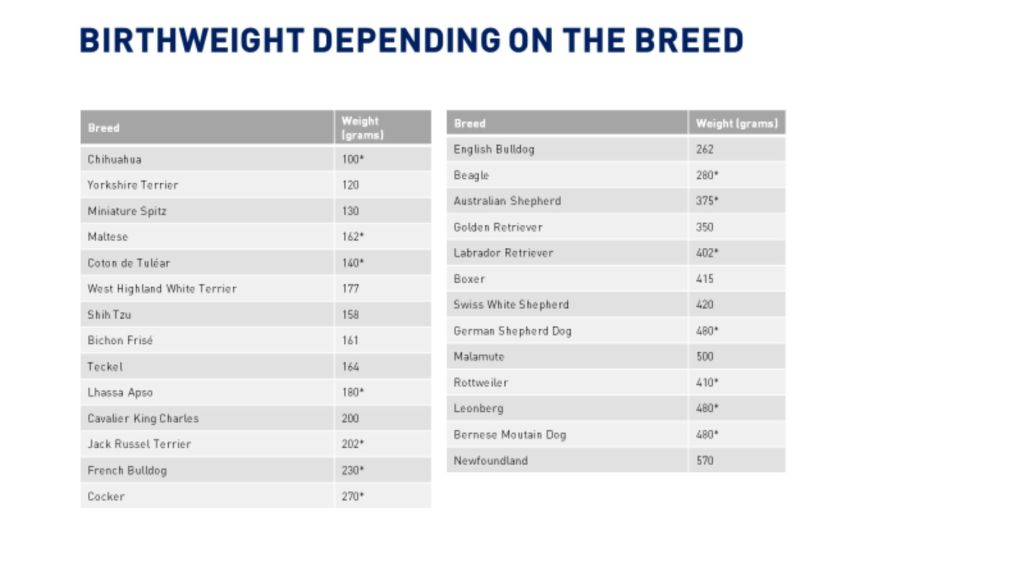 A table from one of Dr Emmanuel Fontaine's lecture on normal birth weight in certain breeds of dogs. The values here can serve as a reference to identify low birth weight puppies in those breeds.