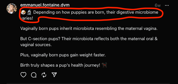 A post on Threads from Dr Emmanuel Fontaine on the impact of C-section on the microbiome development in newborn puppies.