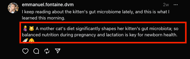 A post from Dr Emmanuel Fontaine on Threads explaining the importance of nutrition during gestation in female cats to optimize the gut microbiome of kittens.