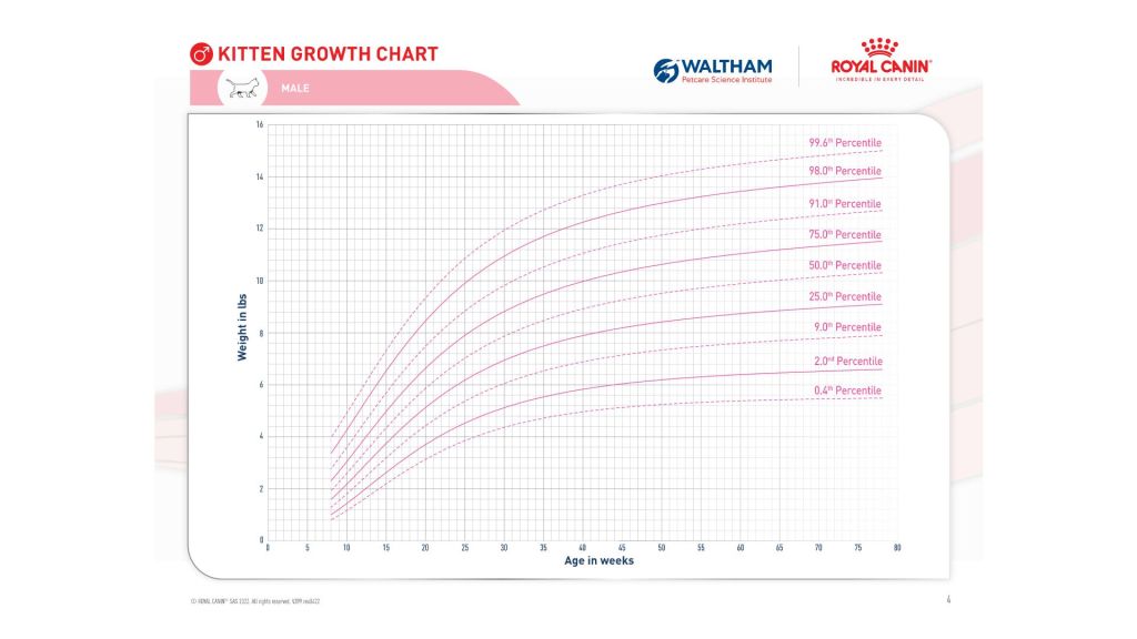 A pediatric growth chart that has been developed to assess healthy growth in kittens. 