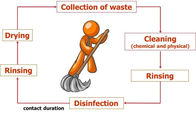 [BLOG] Cleaning vs Disinfecting ? Why your shelter staff needs to know ...