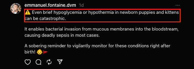 A post on Threads from Dr EMMANUEL FONTAINE about the risk of bacterial translocation in newborn puppies and kittens