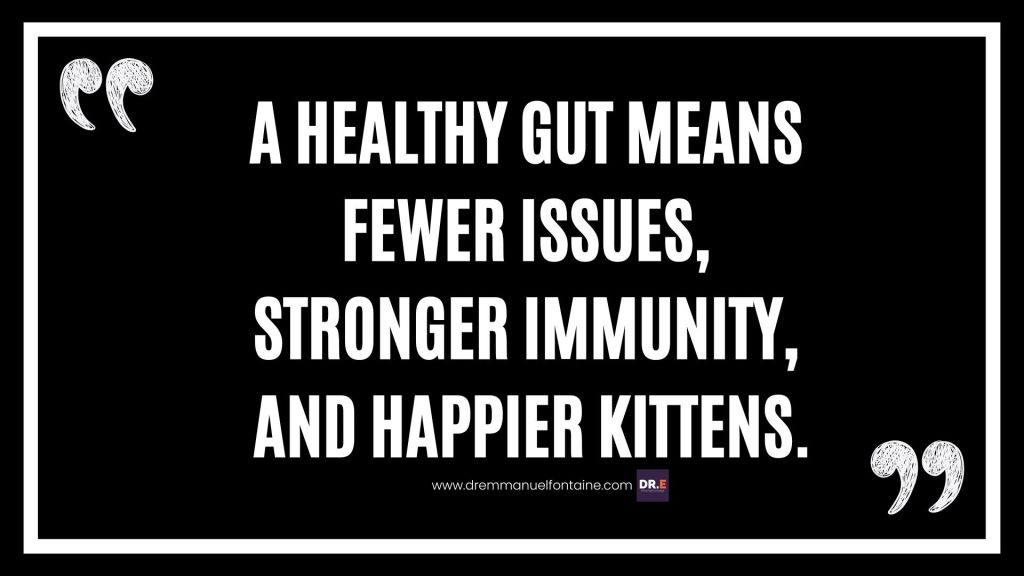 A healthy gut means fewer issues, stronger immunity, and happier kittens.