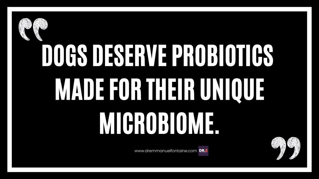 Dogs deserve probiotics made for their unique microbiome.