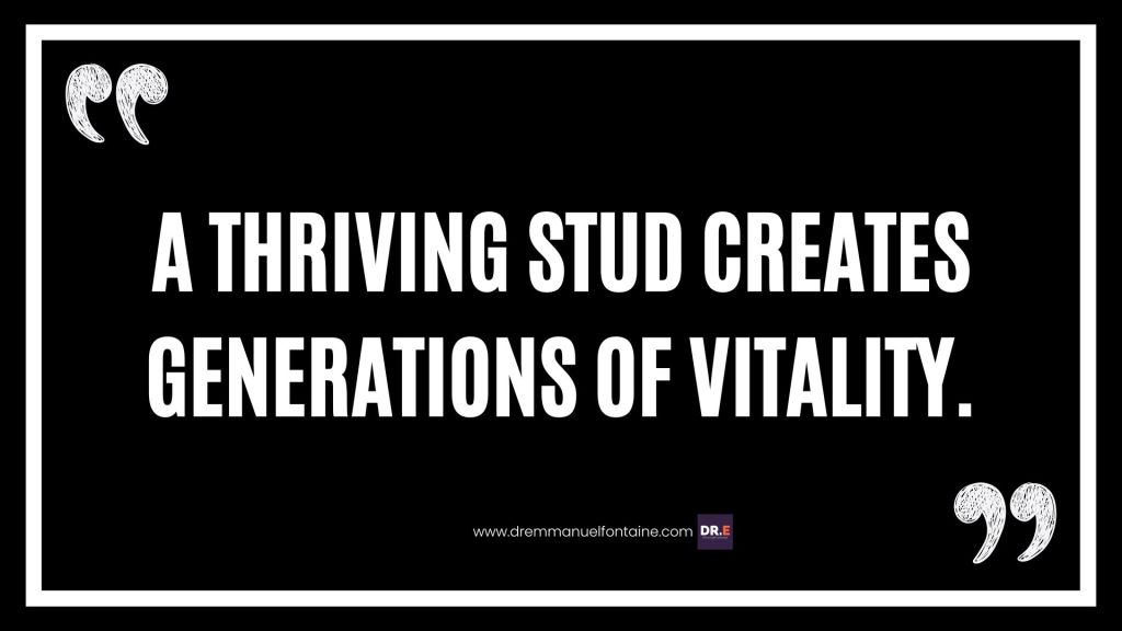 A thriving stud creates generations of vitality.