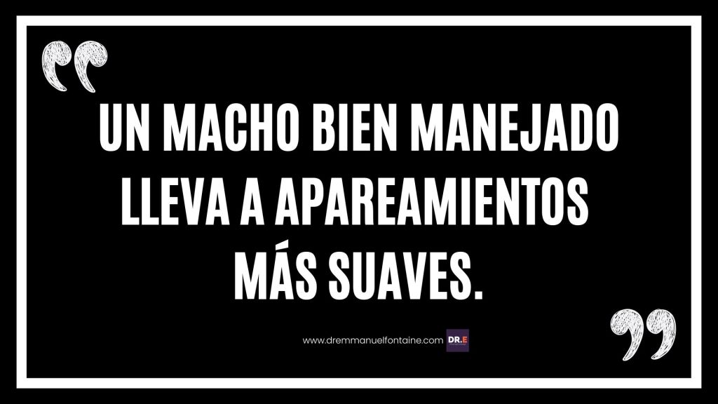 Un macho bien manejado lleva a apareamientos más suaves.
