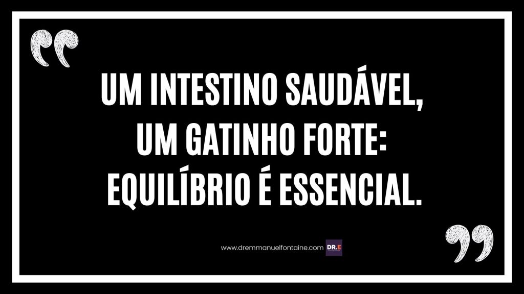 Um intestino saudável, um gatinho forte: equilíbrio é essencial.