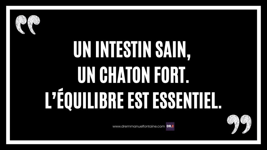 Un intestin sain, un chaton fort—l’équilibre est essentiel.