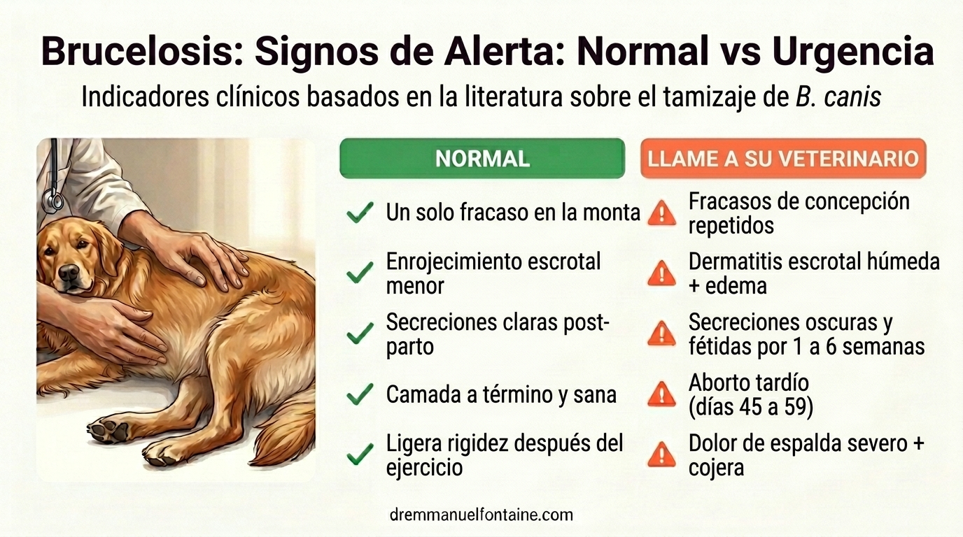 Señales de alerta de brucelosis canina: normal vs emergencia - Dr. Emmanuel Fontaine