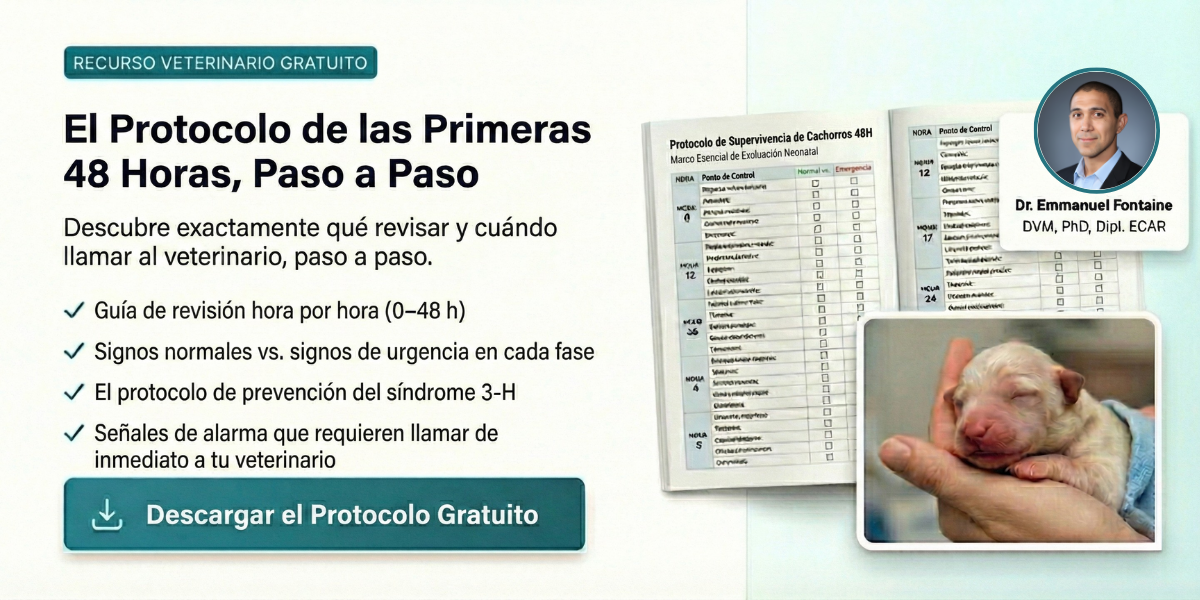 Protocolo 48h para cachorros recién nacidos - Guía gratuita por Dr Emmanuel Fontaine