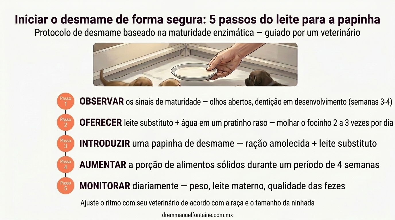 Protocolo de desmame do filhote - do leite para a papa