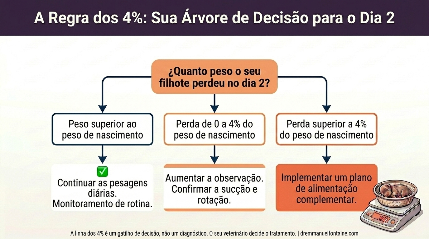 A regra dos 4 %: sua árvore de decisão do Dia 2