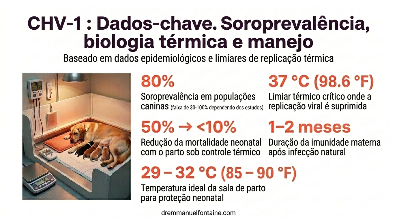 Infográfico CHV-1 soroprevalência e biologia térmica