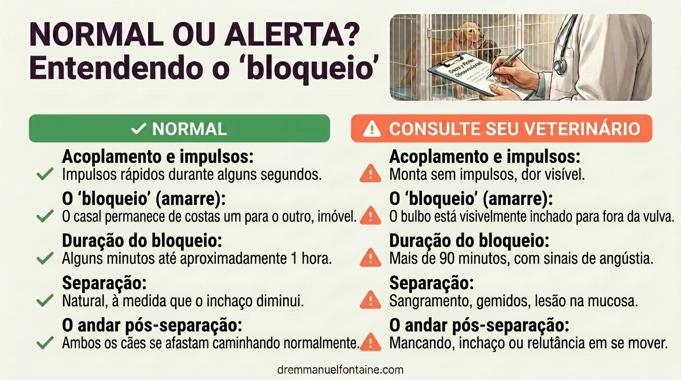 Normal ou sinal de alerta? Ler a cobertura - infografico por Dr. Emmanuel Fontaine