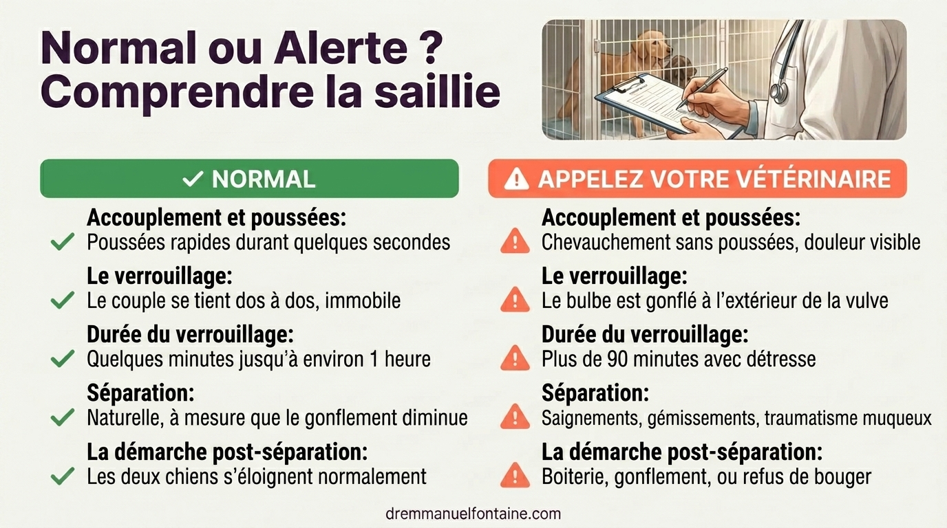 Normal ou signal d'alerte ? Lire la saillie - infographie par Dr Emmanuel Fontaine
