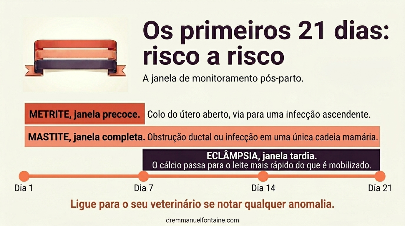 Por que as três primeiras semanas são a janela de risco ativa