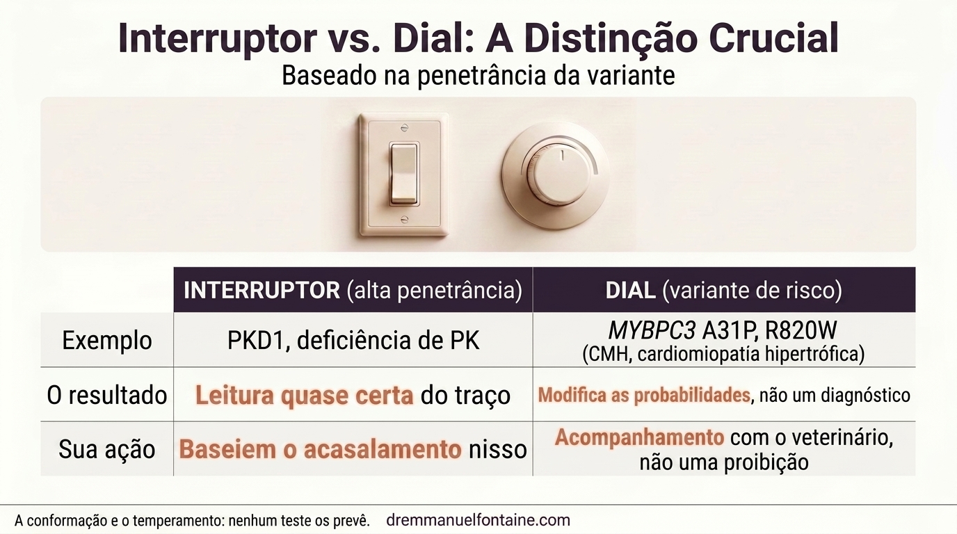 Resultados de DNA felino, infográfico interruptor versus regulador