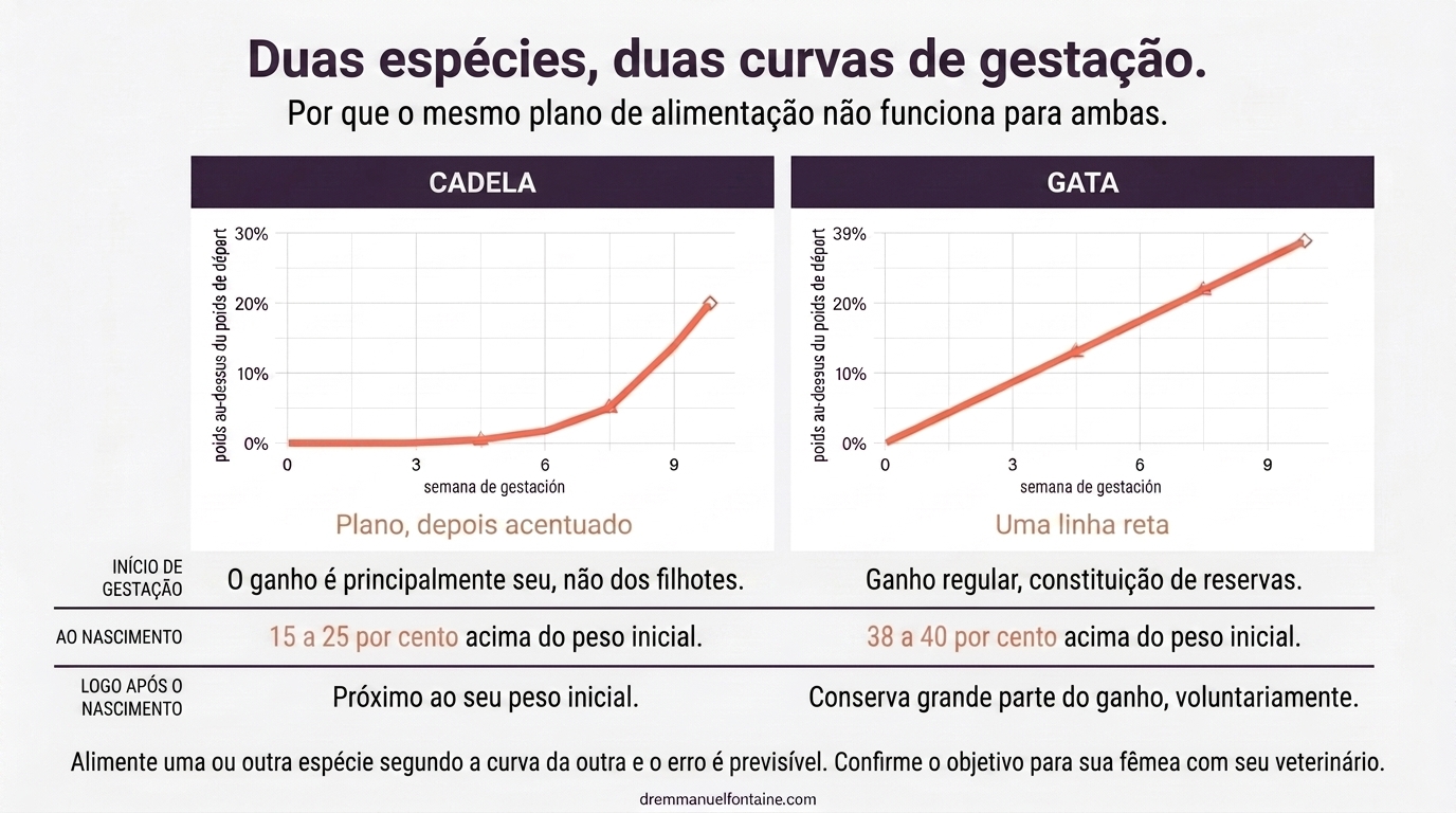 Curvas de ganho de peso na gestacao comparadas na cadela e na gata, infografico